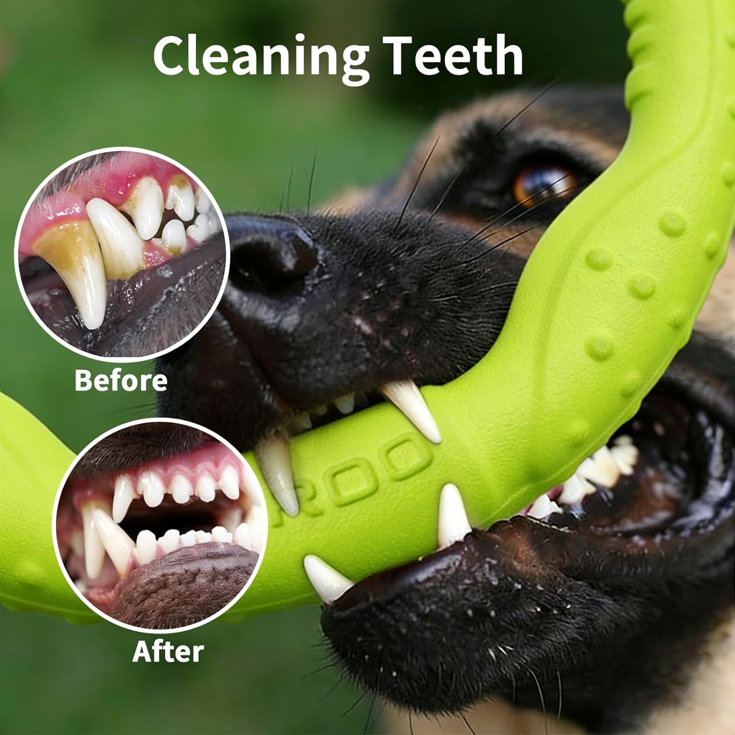 Dog Ring Toy, Durable Soft Flying Disc for Throwing Catching Grabbing, Water Floating Dog Training Fetch Ring for Medium Large Breeds, Outdoor (Green/11.8Inch)