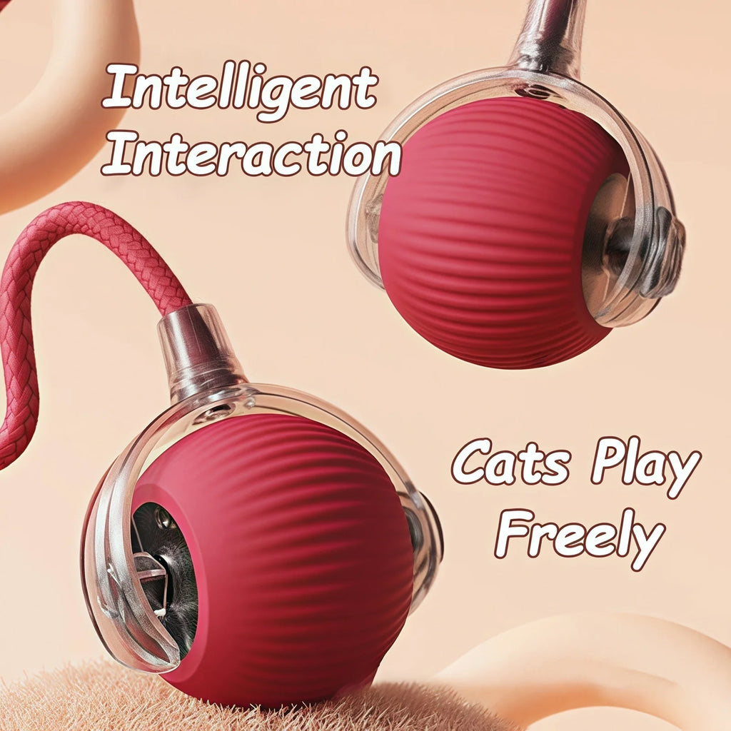 New Cat Interactive Ball Toy Automatic Rolling Ball 