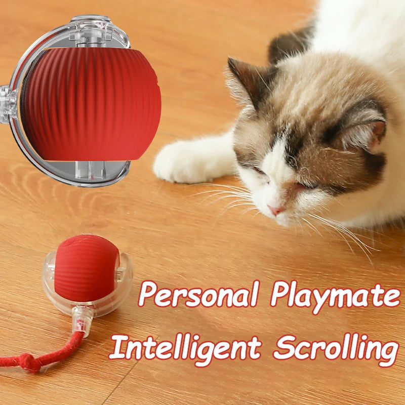 New Cat Interactive Ball Toy Automatic Rolling Ball 